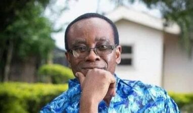 Environmentalist, Nnimmo Bassey, joins Swedish Right Livelihood Foundation Board