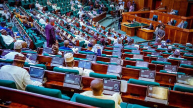 Reps drop own state police bill for Tinubu's